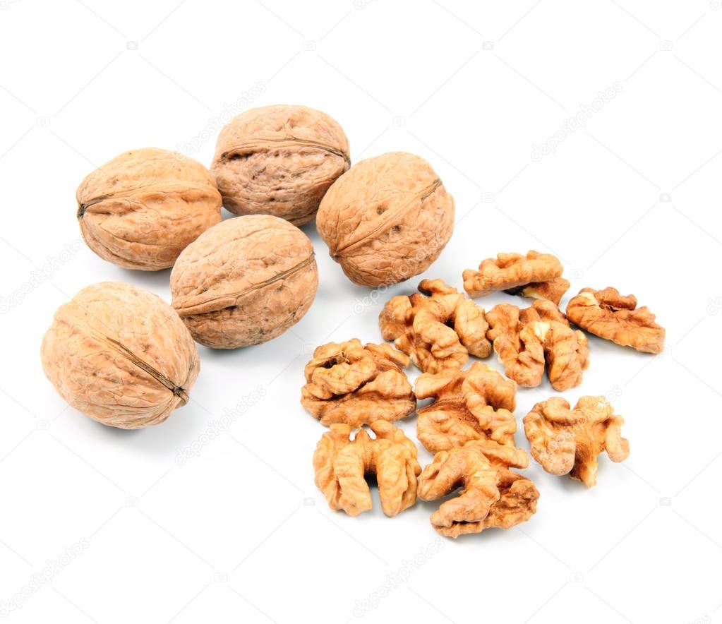 walnut isolated on white background