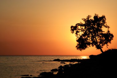 parlak güzel sarı deniz günbatımı
