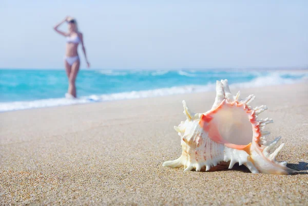 Slank blond meisje in witte bikini op het strand van de zee zandstrand met grote schelp — Stockfoto