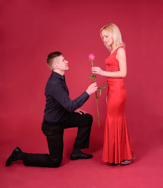 Um homem com flor de rosa dobre o joelho uma mulher contra fundo vermelho — Fotografia de Stock