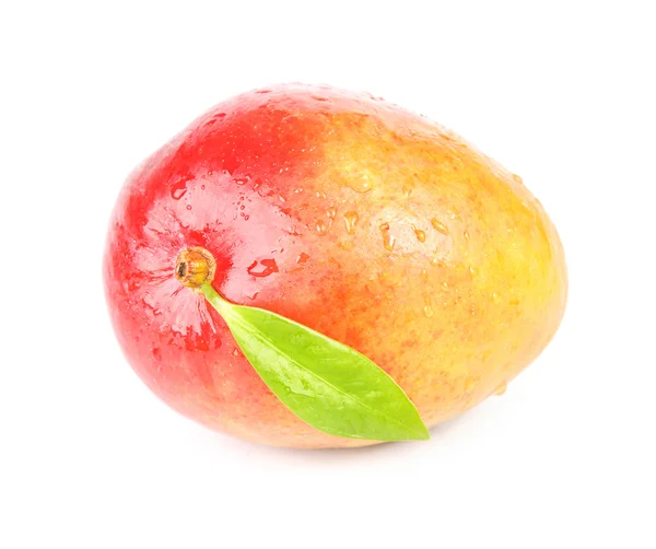 Mango met blad en snijd geïsoleerd — Stockfoto