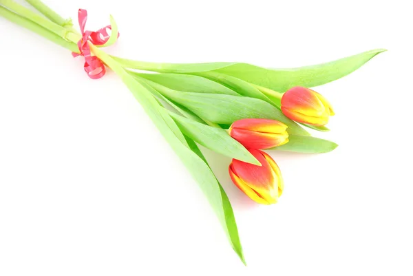 Trois fleurs de tulipes isolées sur fond blanc — Photo