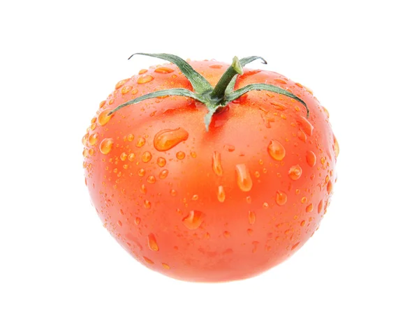 Świeży pomidor z wody spadnie na białym tle na białym tle — Zdjęcie stockowe