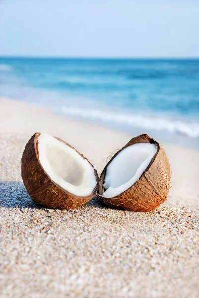 Dos mitades de coco contra el mar en la playa de arena marina —  Fotos de Stock