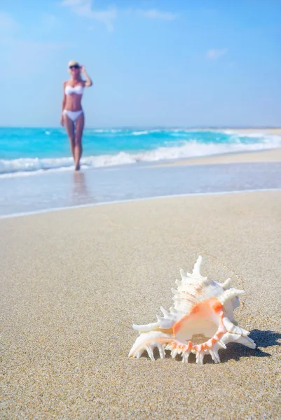 Slank blond meisje in witte bikini op het strand van de zee zandstrand met bi — Stockfoto