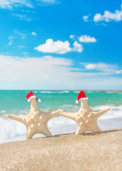 Couples d'étoiles de mer en chapeaux de Père Noël marchant sur la plage de sable marin. Holide — Photo