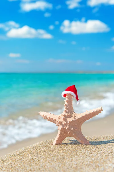 Sea-star in santa hat at sea sandy beach. — Stock Photo, Image