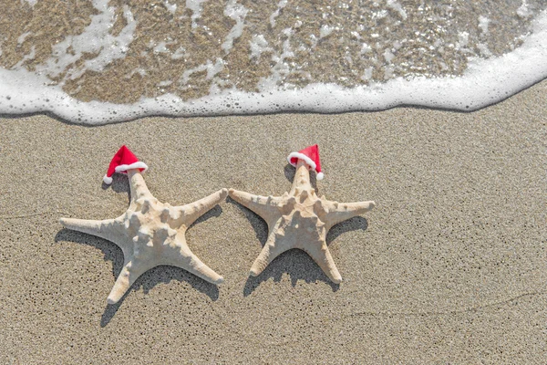 Para gwiazd morza w santa kapelusze — Zdjęcie stockowe