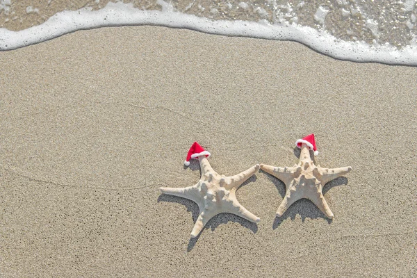 Para gwiazd morza w santa kapelusze na piasku. — Zdjęcie stockowe