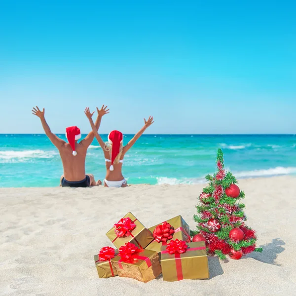 santa şapkalar deniz, Çift