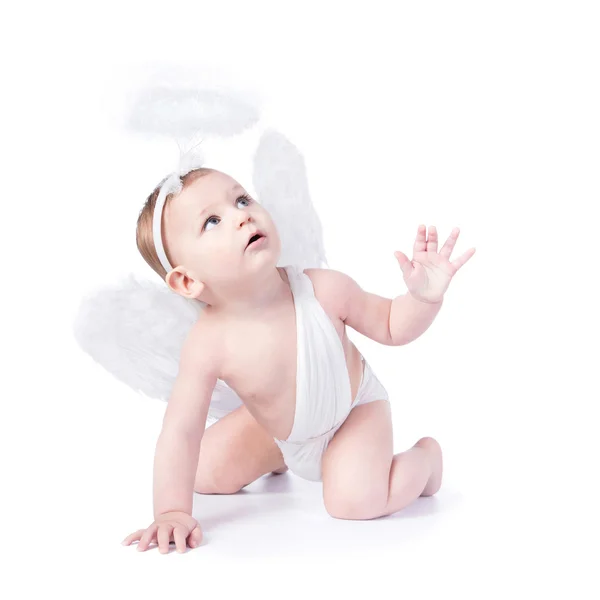 Bebê bonito com asas de anjo e nimbus — Fotografia de Stock