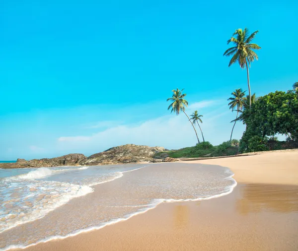 Ocean beach against rock and palms in sunny day — Stock Photo, Image