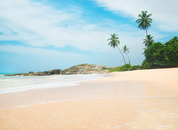 Plaja oceanului împotriva stâncii și palmelor în ziua însorită — Fotografie, imagine de stoc
