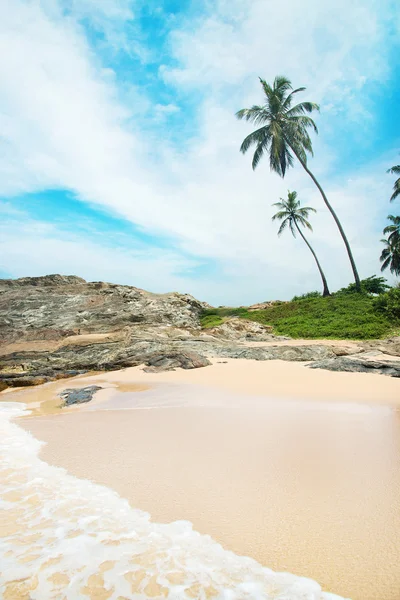 Beach with waves against rock and palm trees in sunny day — Stok Foto