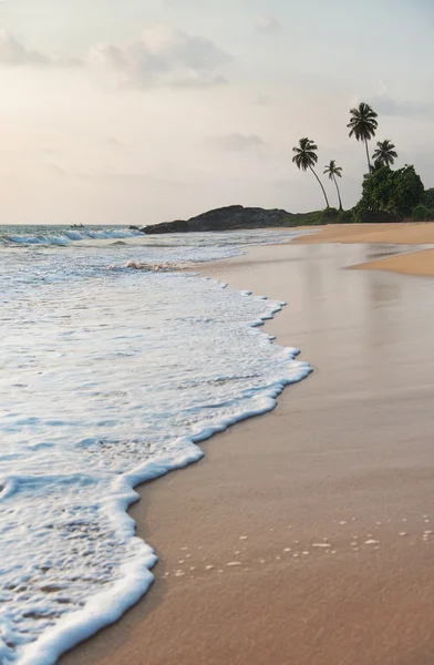 Oceano ondas de praia contra rochas e palmeiras ao pôr do sol — Fotografia de Stock