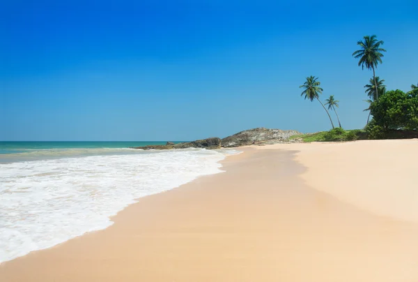 Strand met golven tegen rock en palm bomen in zonnige dag — Stockfoto