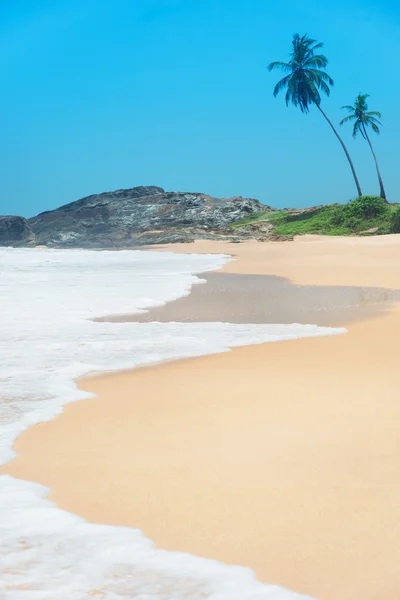 Praia com ondas contra rochas e palmeiras em dia ensolarado — Fotografia de Stock
