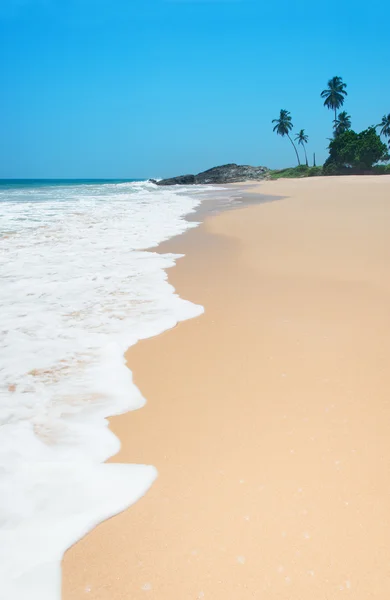 Παραλία με κύματα εναντίον ροκ και φοίνικες δέντρα στην ηλιόλουστη ημέρα — Φωτογραφία Αρχείου