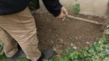 Bir adam zemini tırmıkla gevşetiyor ve düzleştiriyor..