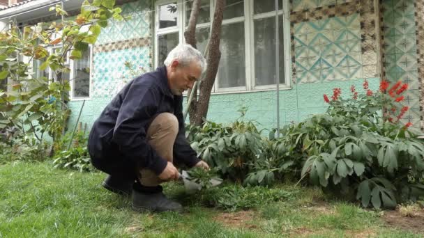 Um homem está a desenterrar plantas no seu quintal. — Vídeo de Stock