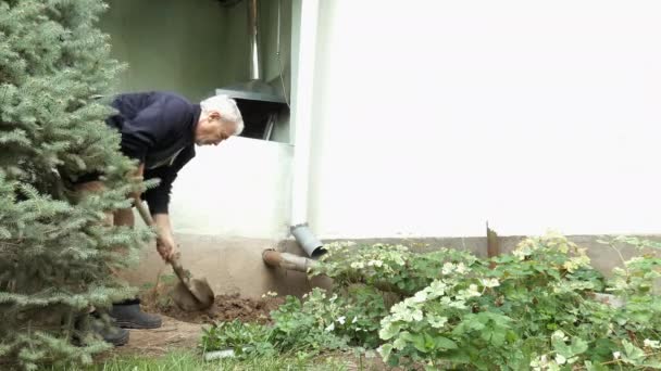 Di sudut halaman, seorang pria sejati menggali tanah. — Stok Video