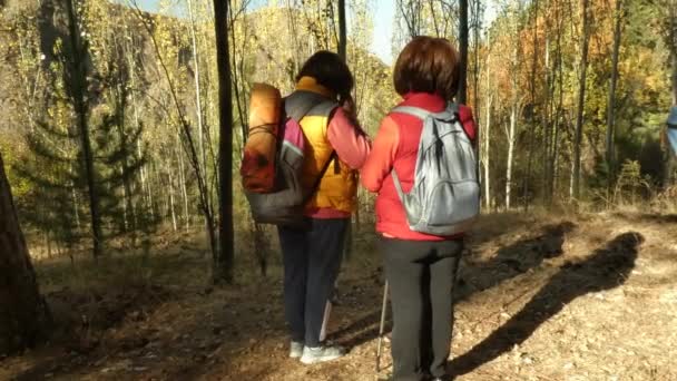 Dos mujeres excursionistas están de pie en el borde de un bosque de montaña. — Vídeos de Stock