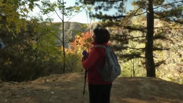 Kobieta wędrowiec idzie na skraj zbocza w jesiennym lesie górskim. — Wideo stockowe