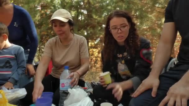 A group of tourists picnicked in a clearing in the woods. — Stock Video