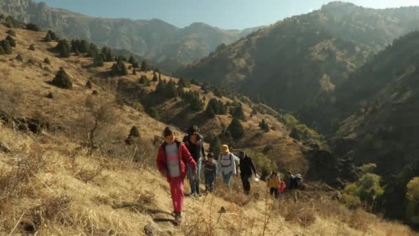 Un gruppo di escursionisti sta camminando in salita lungo il sentiero. Filmato Stock