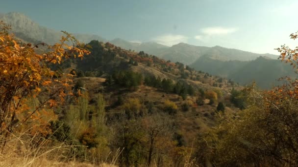 Altın sonbaharda dağ manzarası. — Stok video