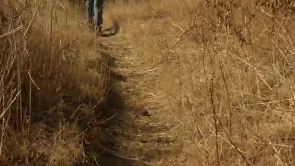 A little boy walks down the path among the dried out grass. — Stock Video