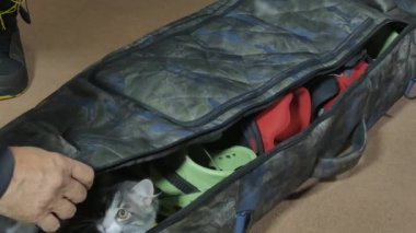 Bir kedi snowboard malzemeleriyle bir çantada oturuyor ve kapatmama izin vermiyor..