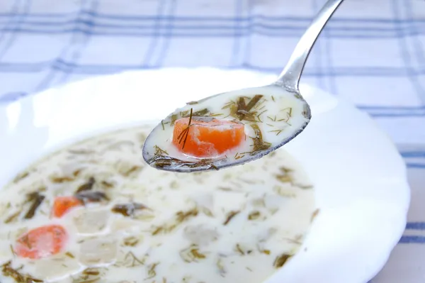 Suppe mit Milch — Stockfoto