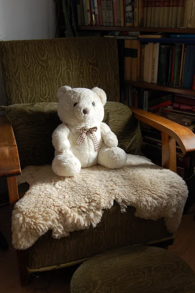 Teddy bear on armchair — Stock Photo, Image