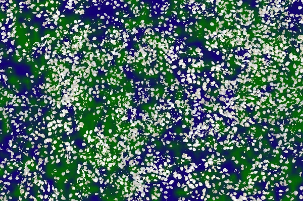 Små vita kronblad på blå och grön bakgrund — Stockfoto