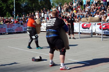 güçlü adam Şampiyonası