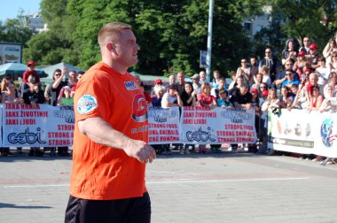 güçlü adam Şampiyonası