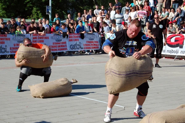 Strongman Championship — Stock Photo, Image