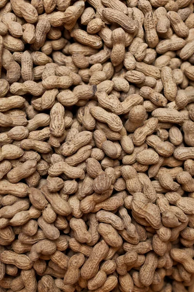 Fıstık