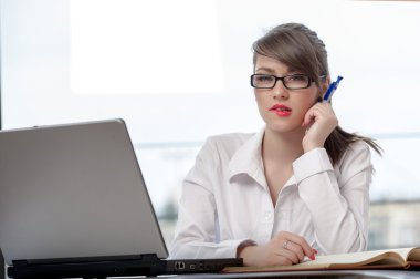 dizüstü bilgisayar ile bussineswoman