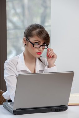 dizüstü bilgisayar ile bussineswoman