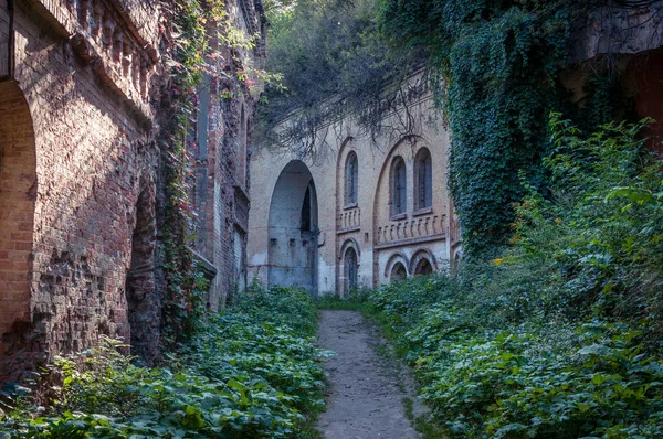 Ordunun yeri. Güçlendirmeler.