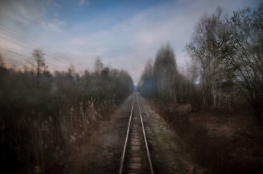 Orman yolunda demiryolu rayları
