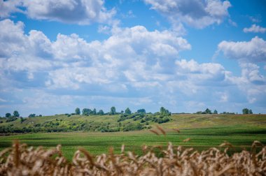 Yazın güzel bir manzara.