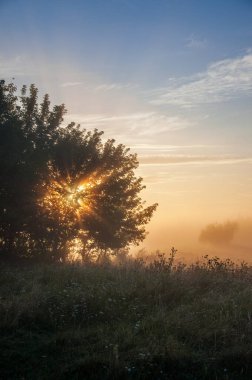 Goryn Nehri ve Çayırı Ukrayna, Rivne bölgesinde yer almaktadır..