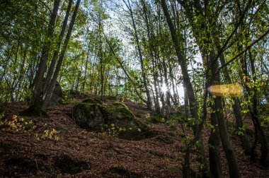 Nadsluchanskiy Bölgesel Peyzaj Parkı, Rivne bölgesinin Bereznivsky bölgesinde korunan bir bölgedir. Sluch nehri vadisinde yer almaktadır..