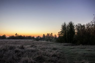 Horyn Nehri yakınlarındaki bir çayırda serin bir şafak.