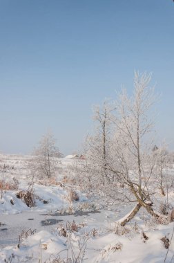 Kış büyüleyicidir karla, kışın soğuğu köyleri ve kasabaları kaplamıştır..