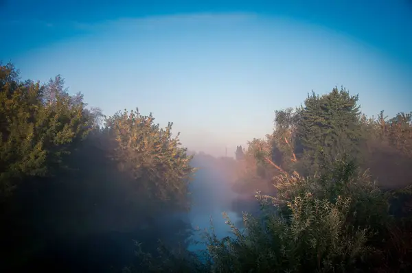 Goryn Nehri ve Çayırı Ukrayna, Rivne bölgesinde yer almaktadır..