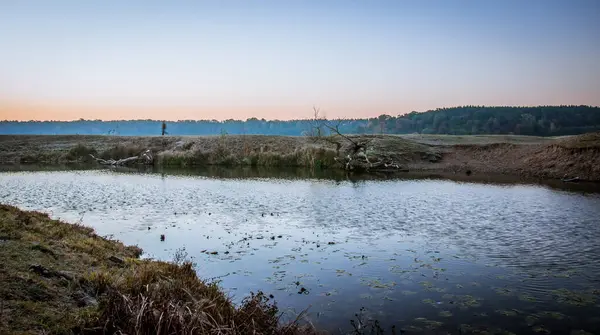 Wiese Und Fluss Horyn Befinden Sich Der Ukraine Region Rivne — Stockfoto